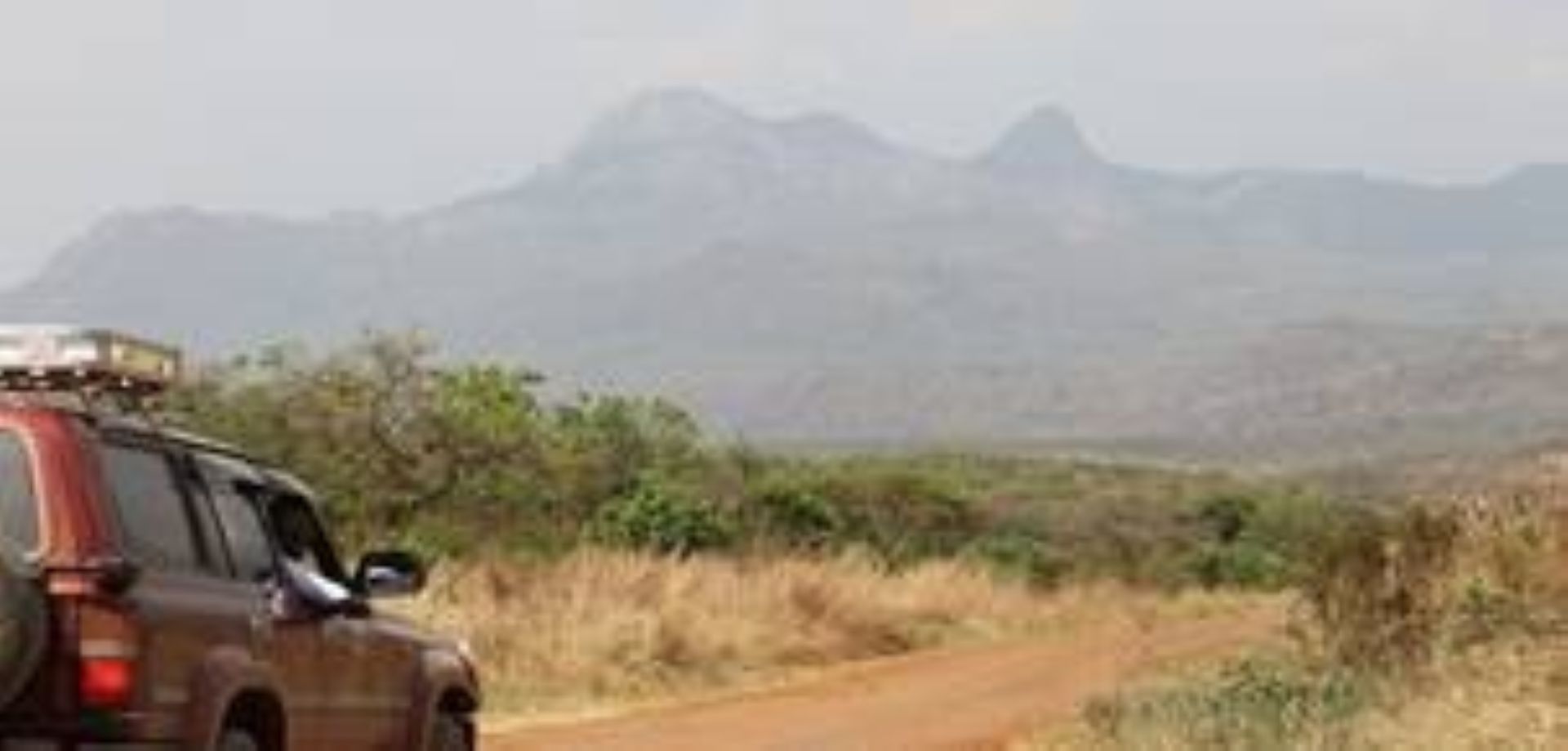Organized Tours and Safaris