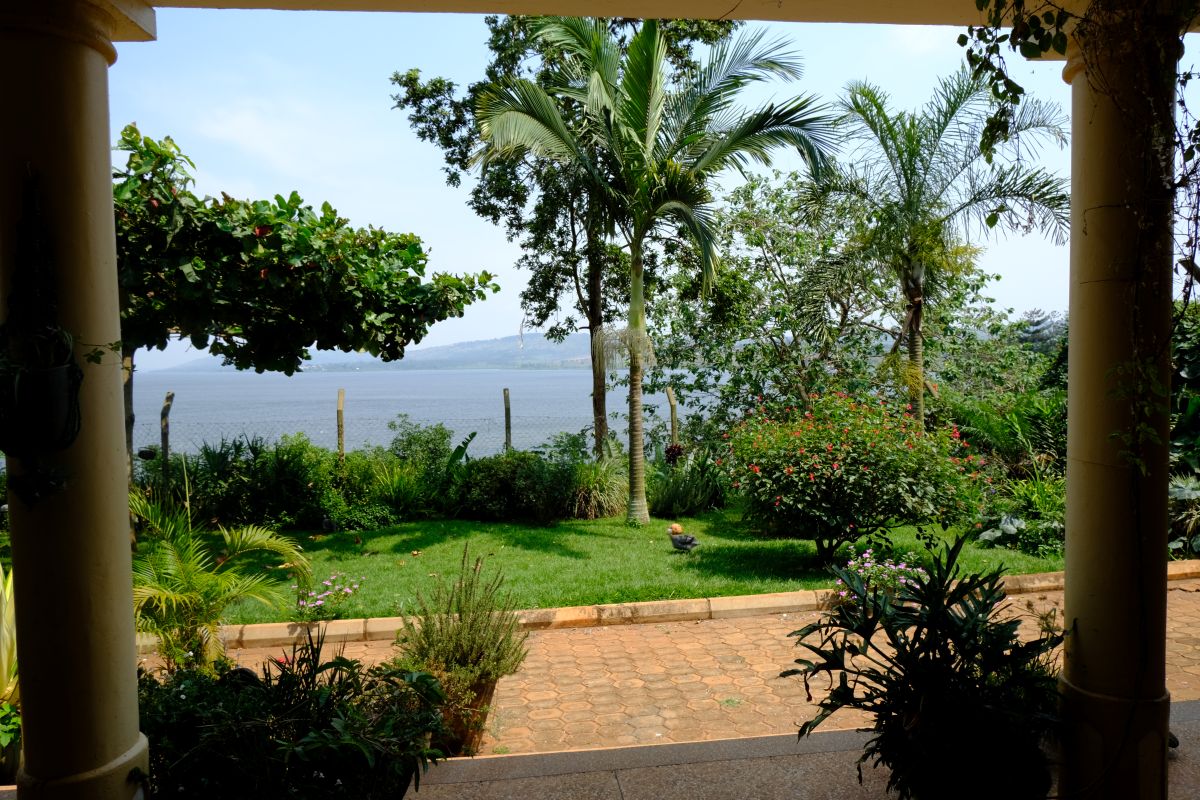 Seren Environment - A Suitable feel of calmness and Peace