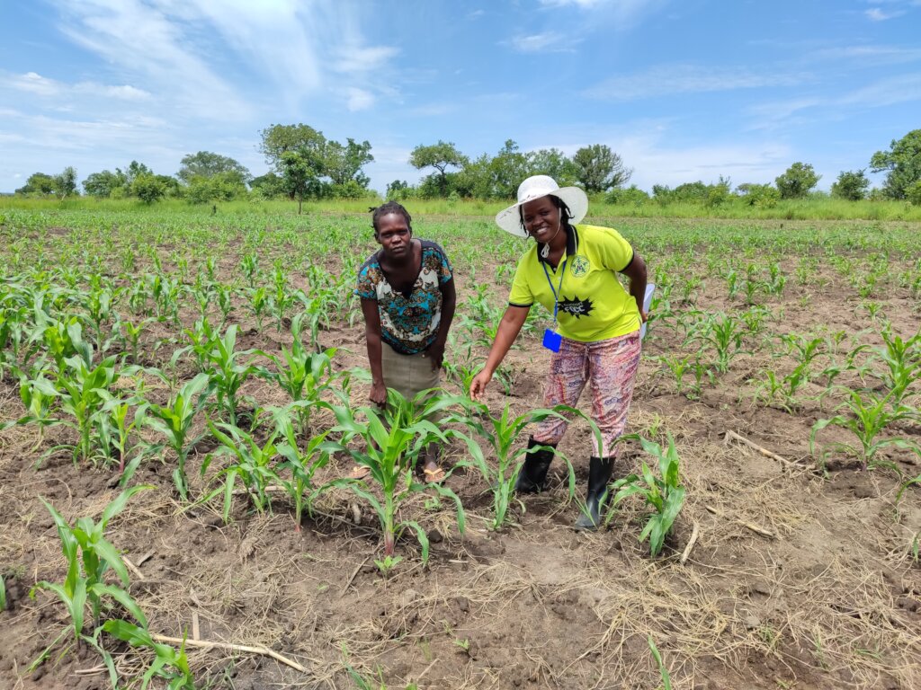 Employment Opportunities