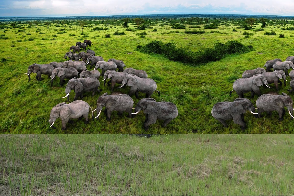 Custom Uganda Tours Through Trusted Partners