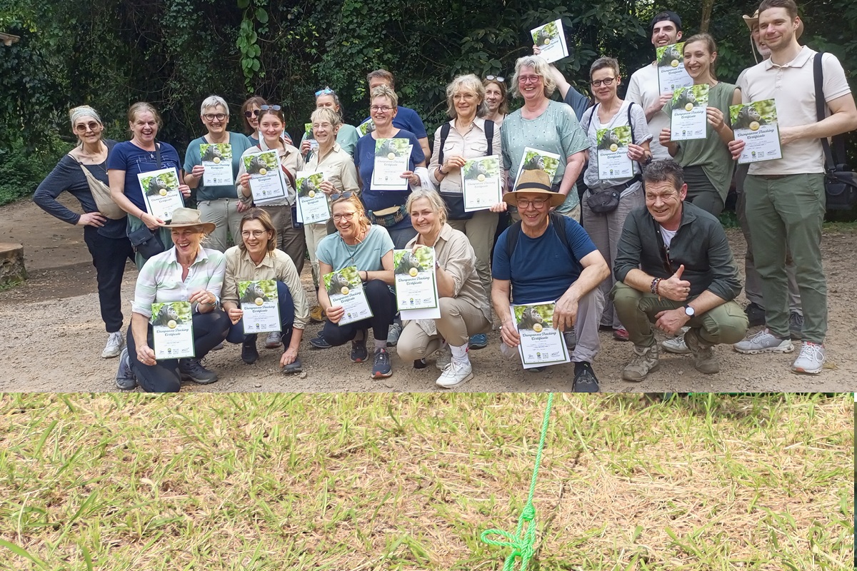 Group Retreats and Team Camping