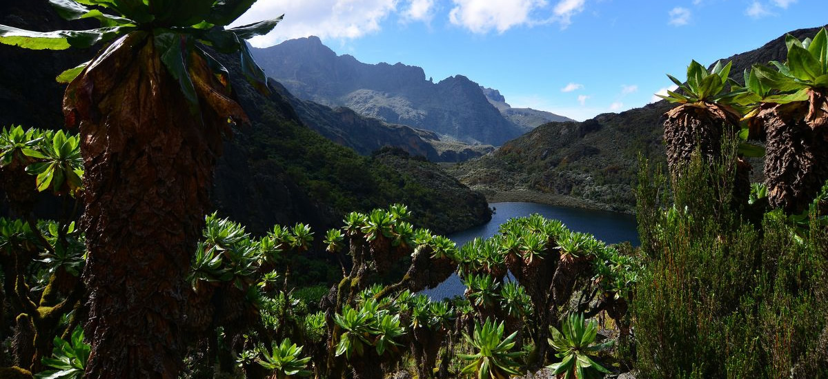 Guy Yeoman (3450m) - Nyabitaba (2651m) [6 -7 hours]