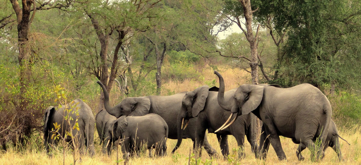 Semuliki National Park